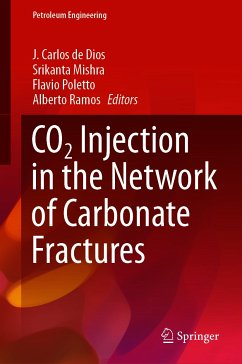 CO2 Injection in the Network of Carbonate Fractures (eBook, PDF)