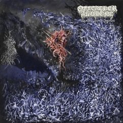 Sulfuric Disintegration - Of Feather And Bone