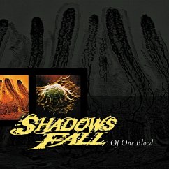 Cover Of One Blood