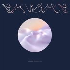 Landfill Totems Landfill Totems