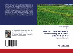Effect of Different Date of Transplanting on Growth and Yield of Rice