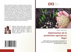 Optimisation de la production agricole au Niger - Djabri, Hassimiou Halidou