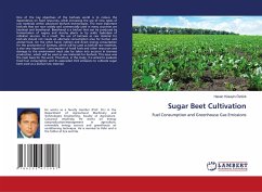 Sugar Beet Cultivation