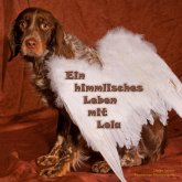 Ein himmlisches Leben mit Lola