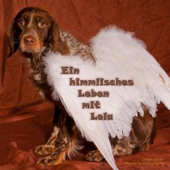 Ein himmlisches Leben mit Lola - Sattler, Stefan