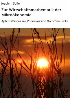 Zur Wirtschaftsmathematik der Mikroökonomie (eBook, ePUB) - Stiller, Joachim
