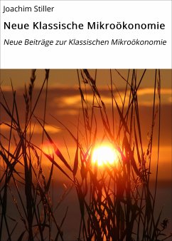 Neue Klassische Mikroökonomie (eBook, ePUB) - Stiller, Joachim