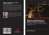 Sidonius Apollinarius i pó¿na kultura antyczna