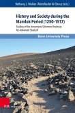History and Society during the Mamluk Period (1250-1517) (eBook, PDF)