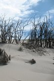 Roter Dünensturm am Abend (eBook, ePUB)