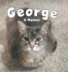 George - Bild 1