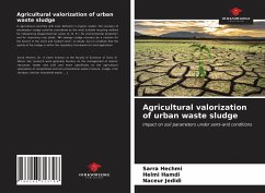 Agricultural valorization of urban waste sludge - Hechmi, Sarra; Hamdi, Helmi; Jedidi, Naceur
