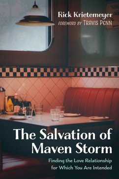 The Salvation of Maven Storm (eBook, ePUB)