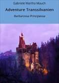 Adventure Transsilvanien (eBook, ePUB)
