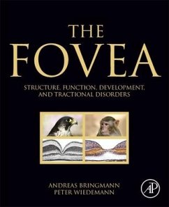 The Fovea - Bringmann, Andreas; Wiedemann, Peter