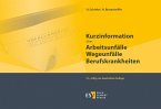 Kurzinformation über Arbeitsunfälle Wegeunfälle Berufskrankheiten (eBook, PDF)