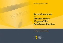 Kurzinformation über Arbeitsunfälle Wegeunfälle Berufskrankheiten (eBook, PDF) - Braunsteffer, Heike