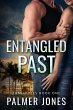 Entangled Past (Family Ties, #1)... - Bild 1