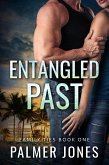 Entangled Past (Family Ties, #1) (eBook, ePUB)