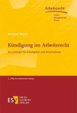 Kündigung im Arbeitsrecht (eBook, PDF)