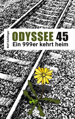 Odyssee 45 (eBook, ePUB)