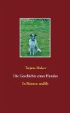 Die Geschichte eines Hundes (eBook, ePUB)