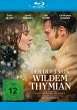 Der Duft von wildem Thymian - Bild 1