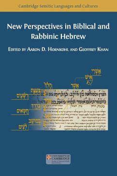 New Perspectives in Biblical and Rabbinic Hebrew (eBook, PDF) - Hornkohl, Aaron; Khan, Geoffrey