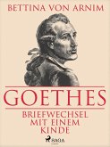 Goethes Briefwechsel mit einem Kinde (eBook, ePUB)