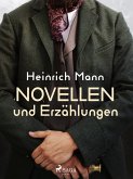 Novellen und Erzählungen (eBook, ePUB)