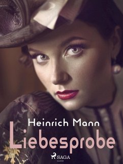 Liebesprobe (eBook, ePUB) - Mann, Heinrich