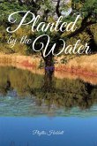 Planted by the Water (eBook, ePUB)