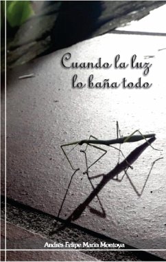 Cuando la luz lo baña todo (eBook, ePUB) - Marín Montoya, Andrés Felipe