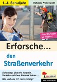 Erforsche den Straßenverkehr (eBook, PDF)