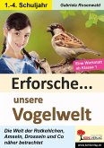 Erforsche ... unsere Vogelwelt (eBook, PDF)