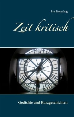 Zeit kritisch (eBook, PDF)