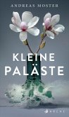 Kleine Paläste (eBook, ePUB)