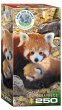 Eurographics 8251-5557 - Rote Pandas ,... - Bild 1