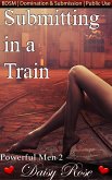 Submitting In A Train (eBook, ePUB)