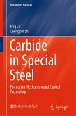 Carbide in Special Steel (eBook, PDF)