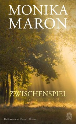 Zwischenspiel - Maron, Monika