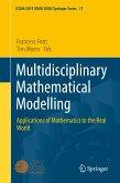 Multidisciplinary Mathematical Modelling (eBook, PDF)