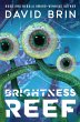 Brightness Reef (eBook, ePUB) - Bild 1