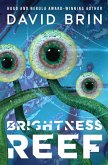 Brightness Reef (eBook, ePUB)