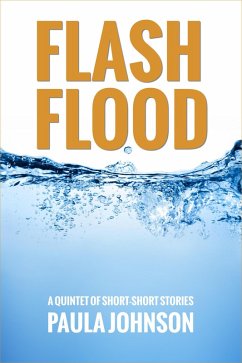 Flash Flood (eBook, ePUB) - Johnson, Paula
