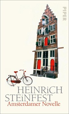 Amsterdamer Novelle (eBook, ePUB) - Steinfest, Heinrich