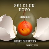 SEI DI UN UOVO (eBook, ePUB)