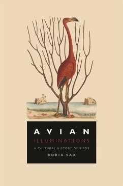 Avian Illuminations - Sax, Boria