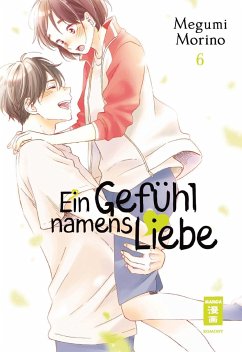 Ein Gefühl namens Liebe Bd.6 - Morino, Megumi