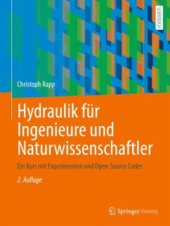 Hydraulik für Ingenieure und Naturwissenschaftler - Rapp, Christoph